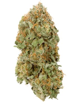 Northeast OG