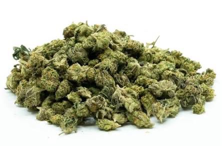 OZ Popcorn Nug