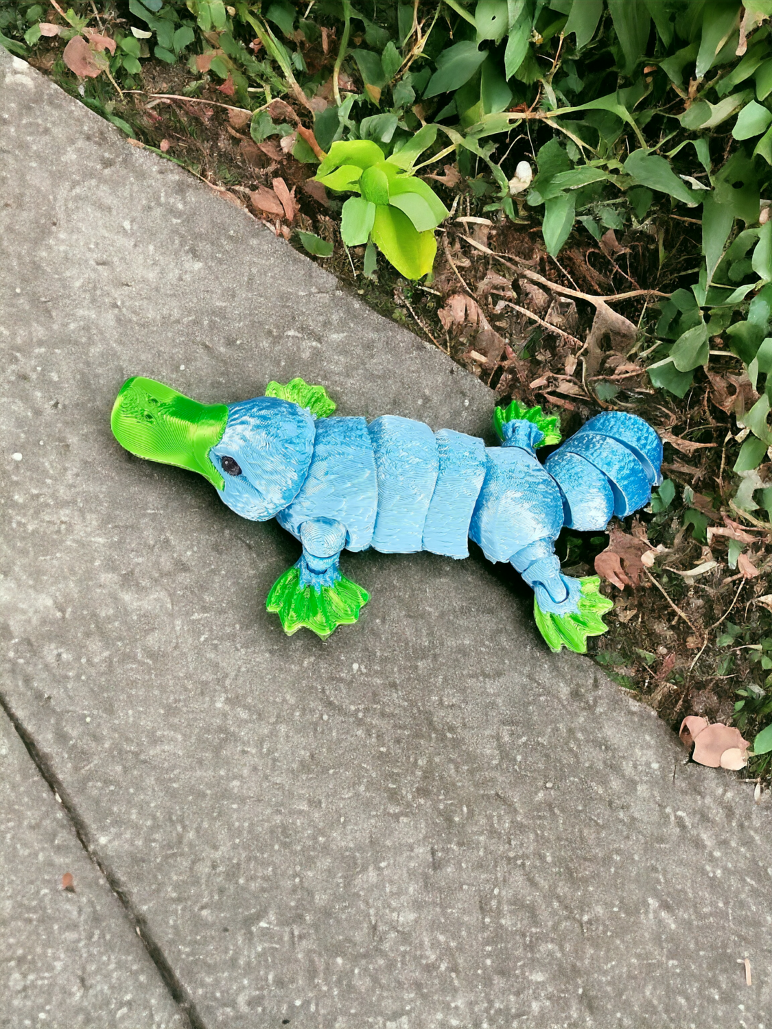 Mini Platypus