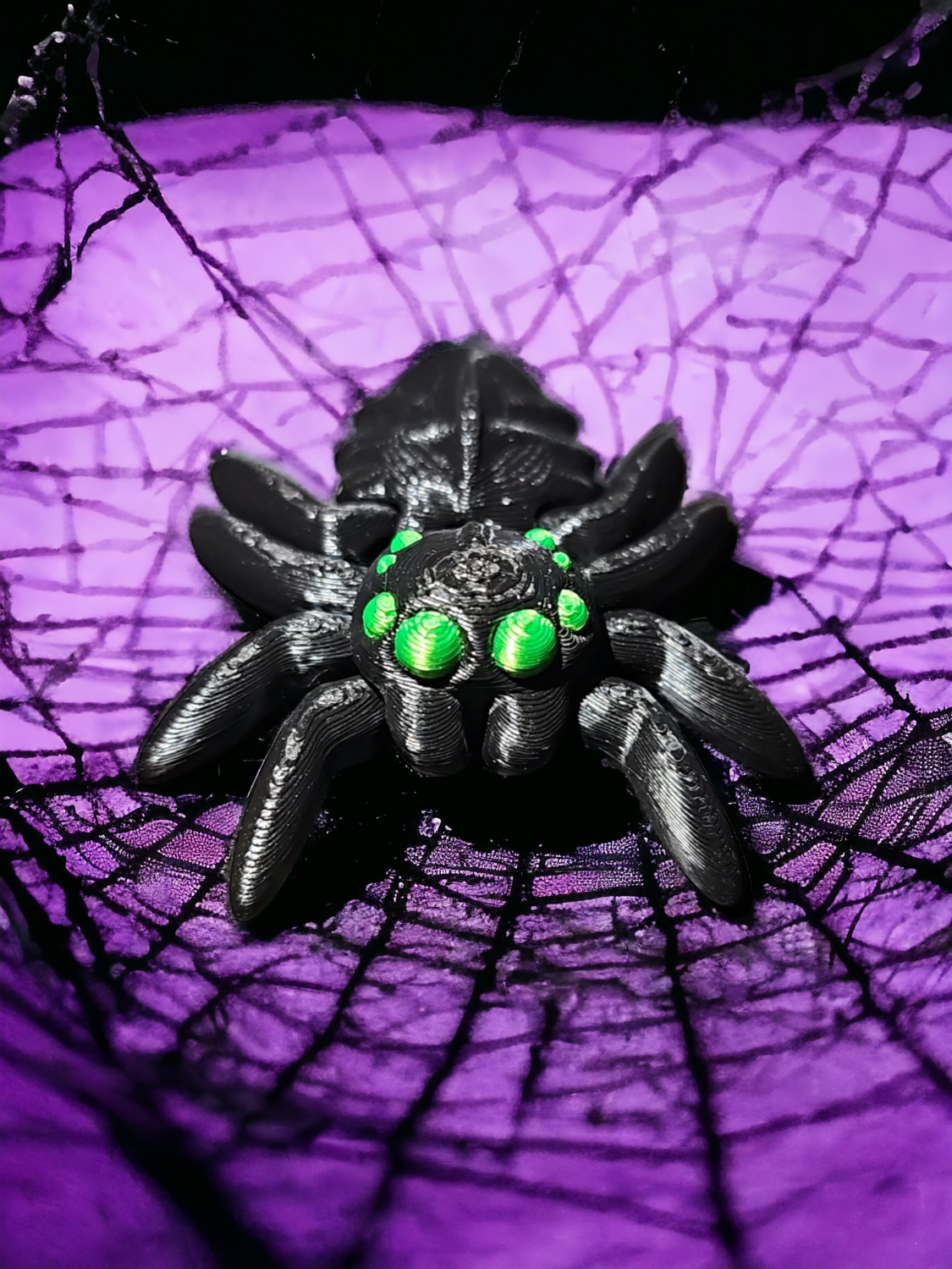 Jumping Spider