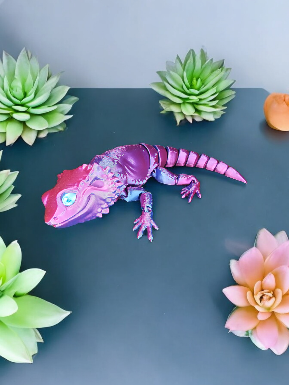Rainbow Bearded Dragon
