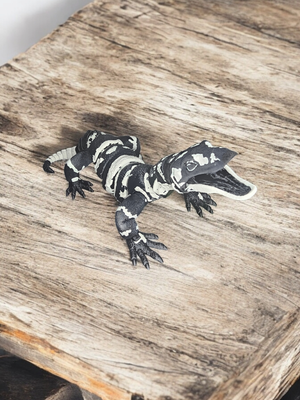 Asian Water Monitor