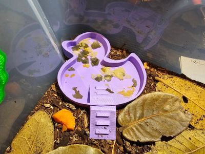 Isopod Feeder