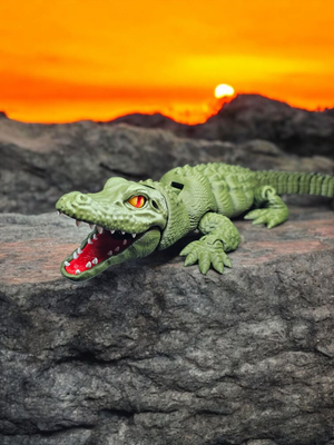 Alligator