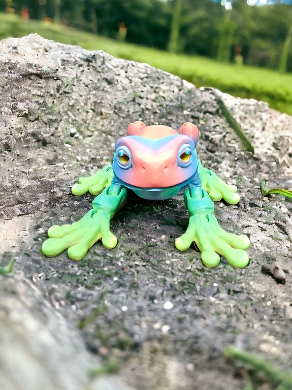 Rainbow Tree frog