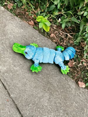 Mini Platypus