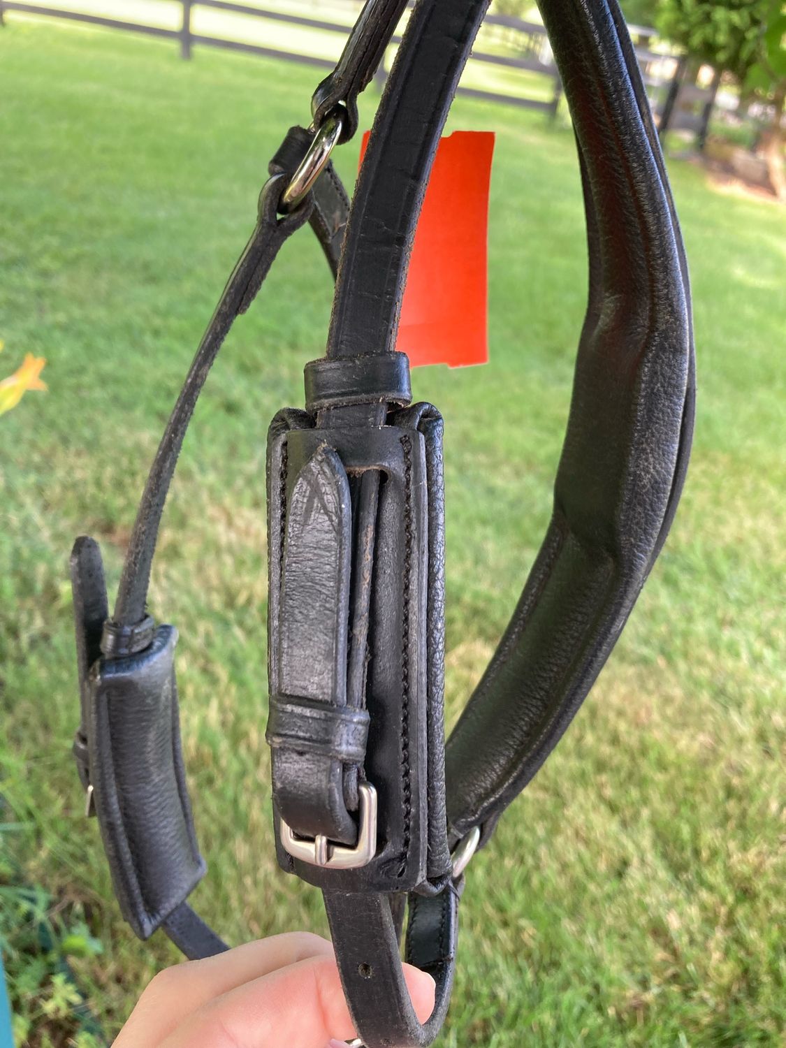 Dressage Noseband