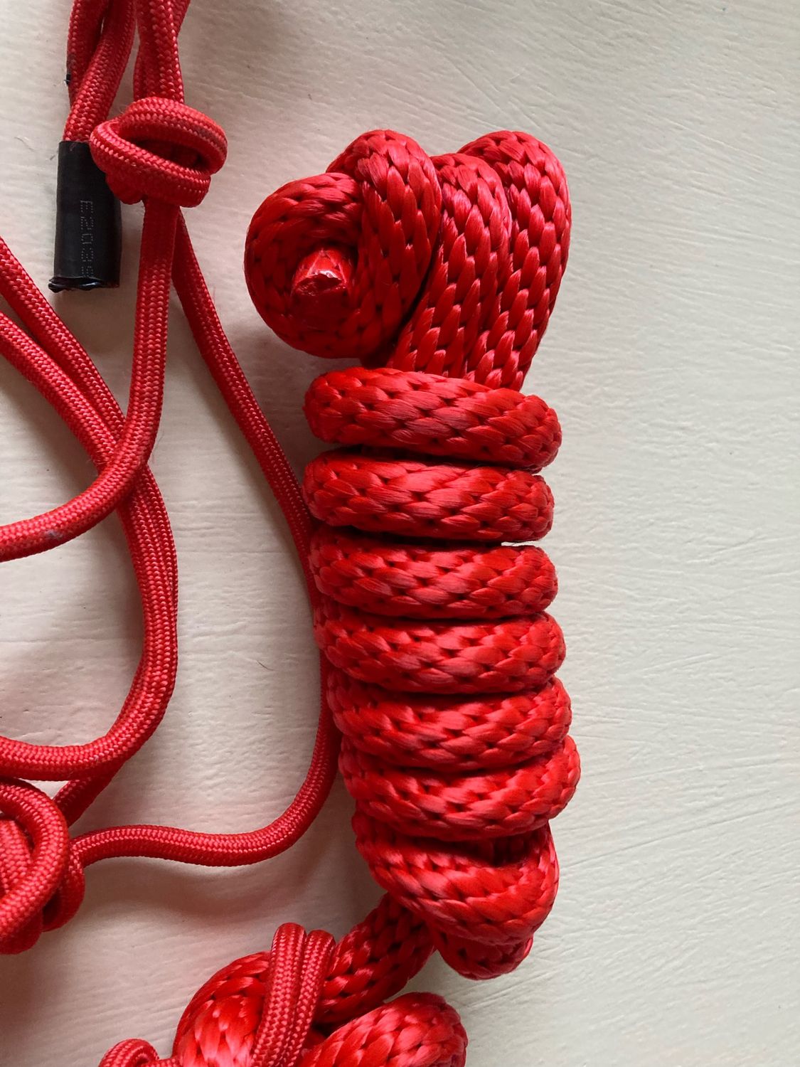 Red Rope Halter With Lead