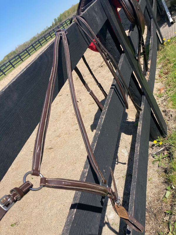 Black Oak Pony Breast Plate Fancy Stitch