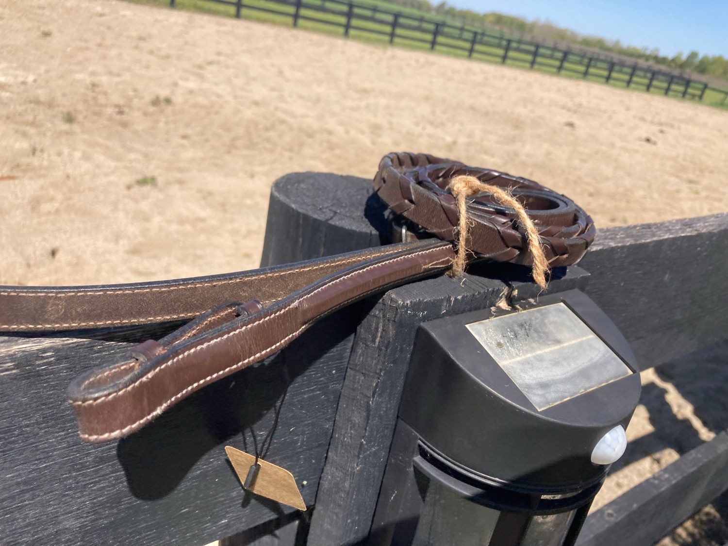 Black Oak Fancy Stitch Web Hunter Reins