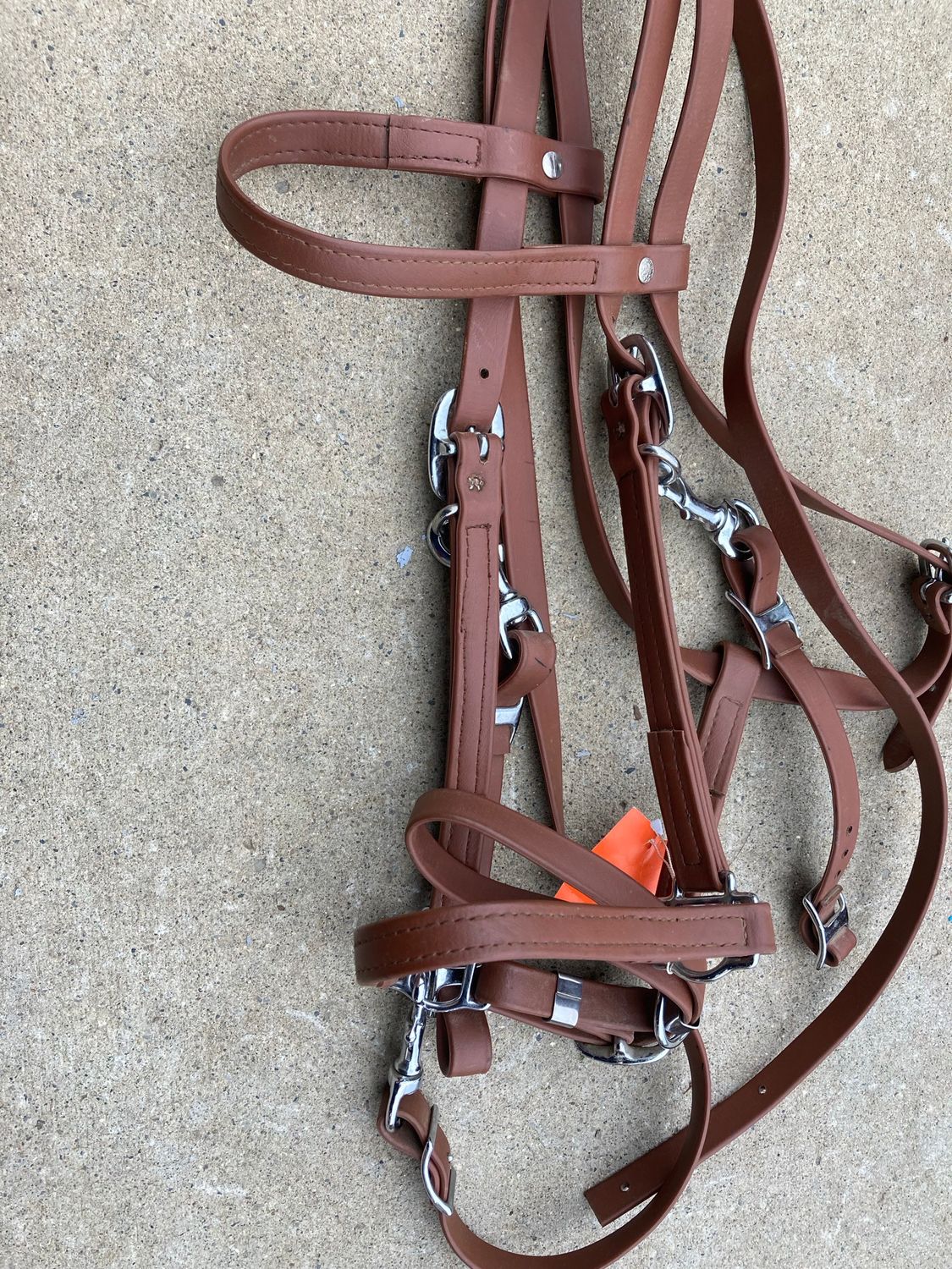 Biothane Combo Bridle/Halter-new!