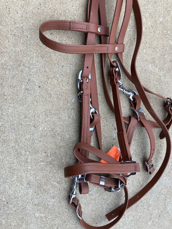 Biothane Combo Bridle/Halter-new!