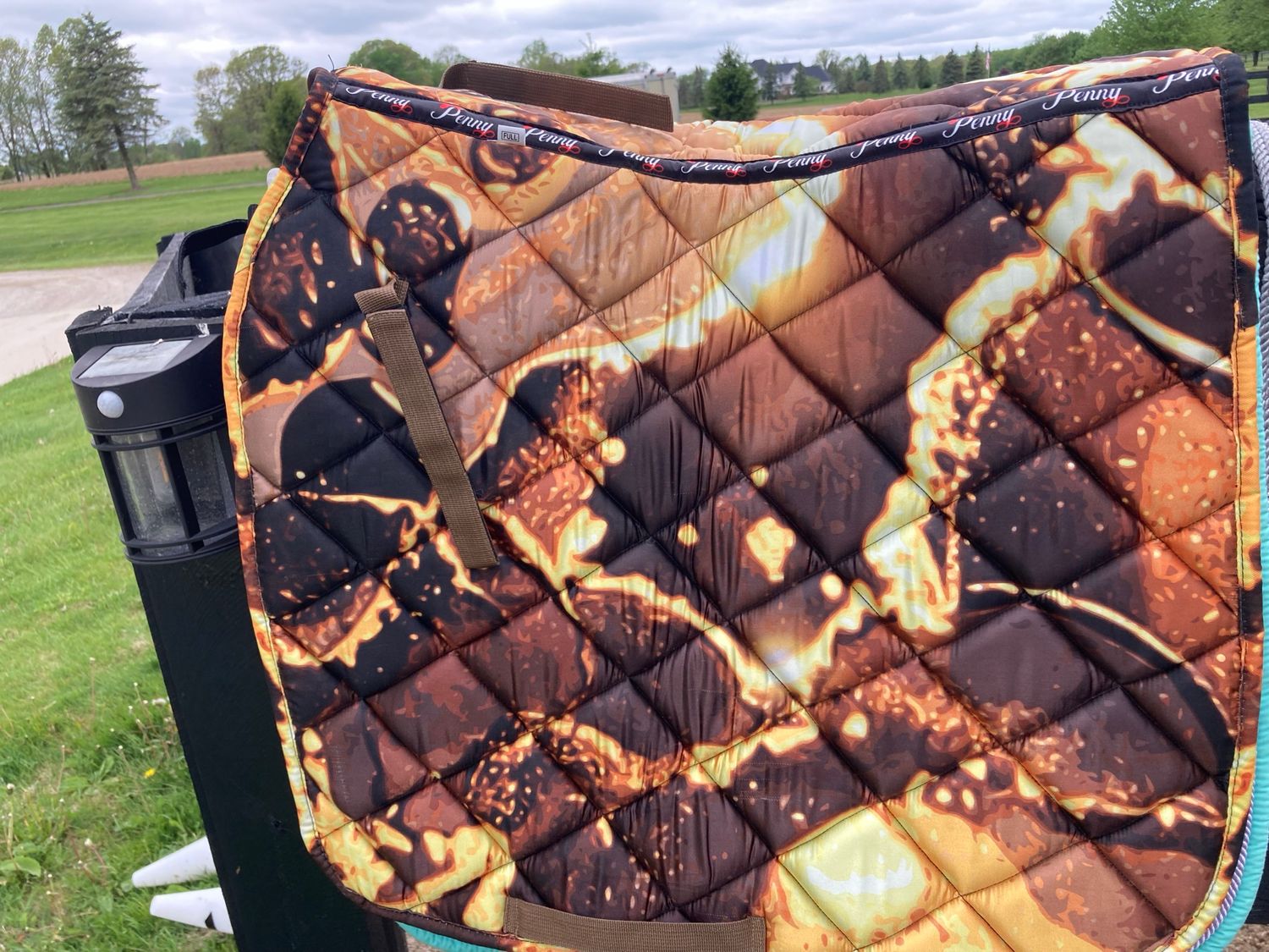 Penny Forever Satin Good Rush Full Dressage Pad