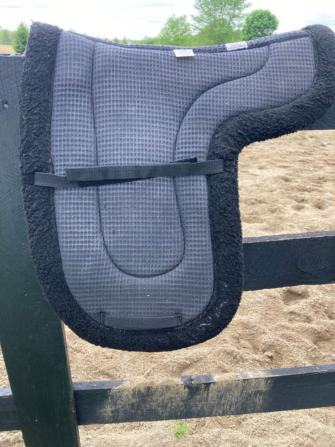 PRI Dressage Form Black Pad