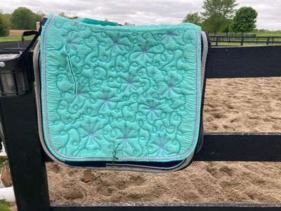Teal And Purple Dressage Pad