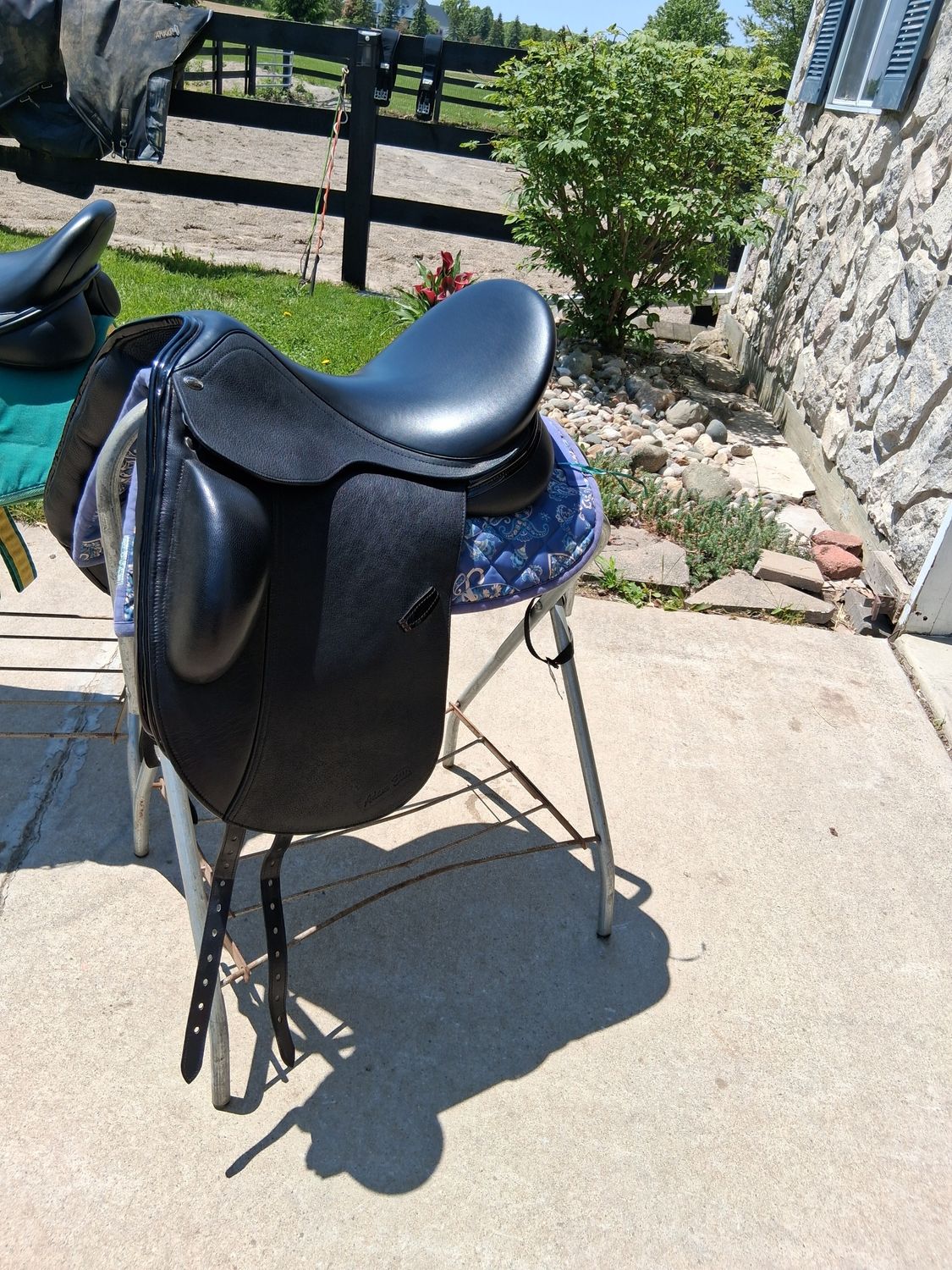 Adam Ellis Paisley dressage saddle 17.5