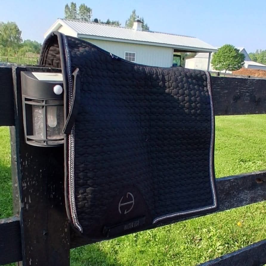 Halter ego dressage pad