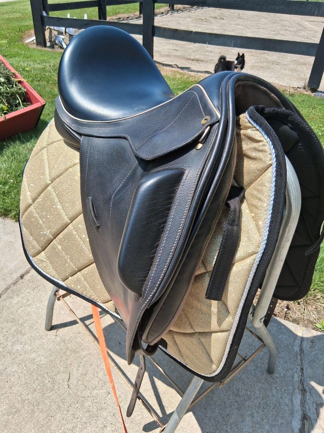 Black Country 17.5 *Carlow* Dressage saddle
