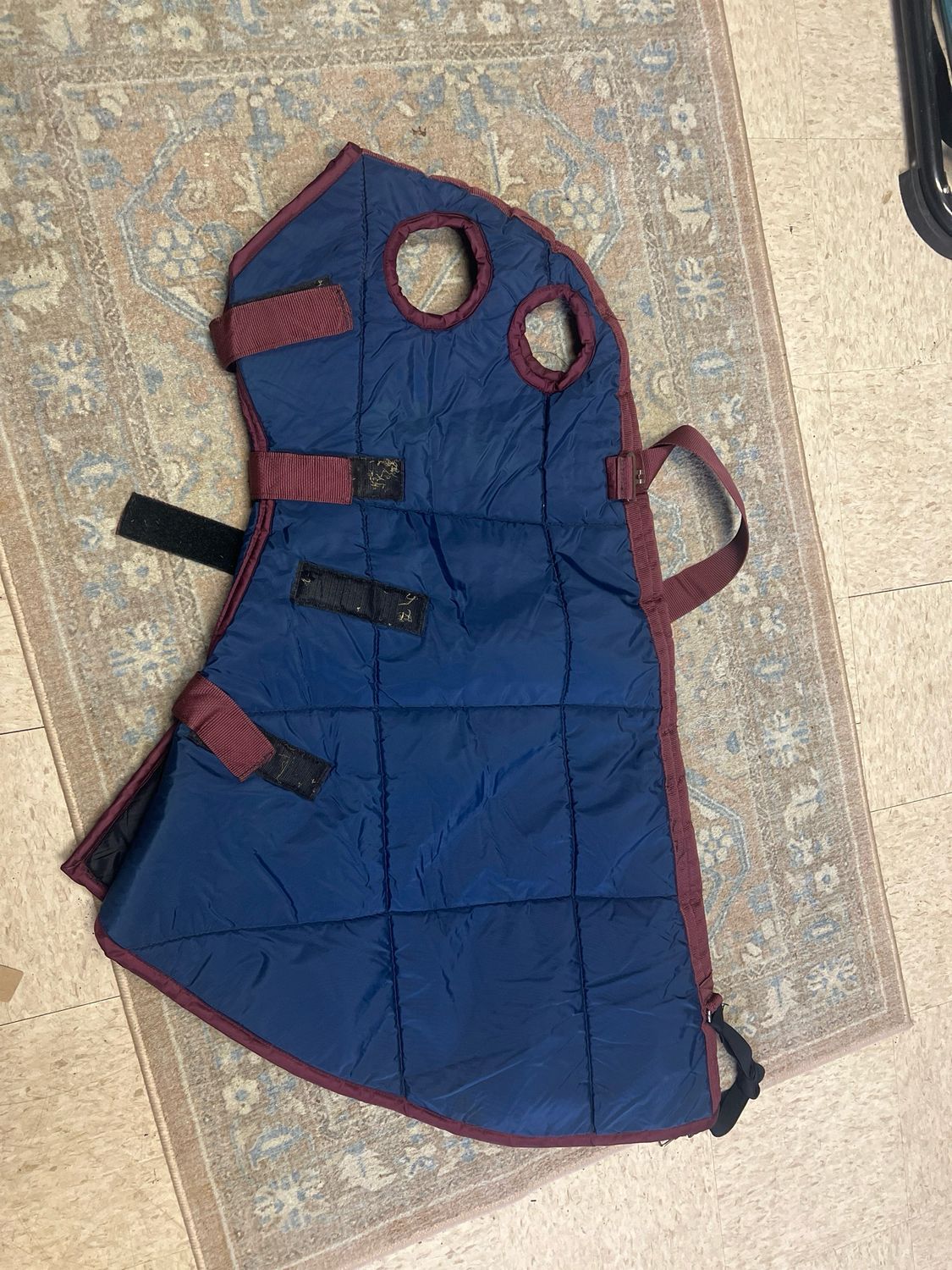 The Horse Clothesline Full Face Good Size Horse/ Full