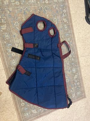 The Horse Clothesline Full Face Good Size Horse/ Full