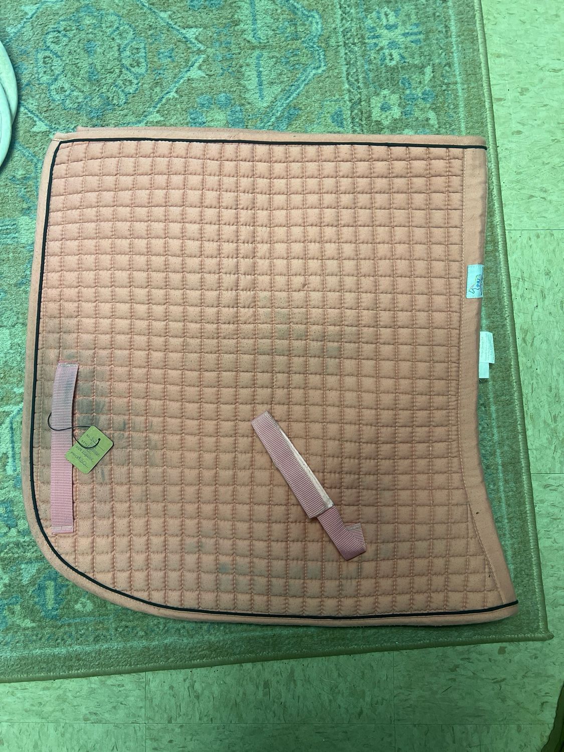 PRI Pink Dressage Size Regular