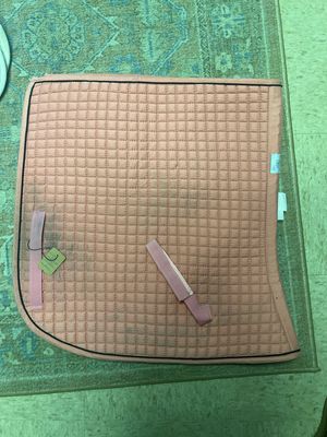 PRI Pink Dressage Size Regular