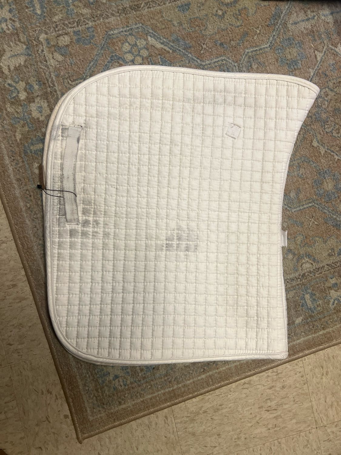 PRI White Dressage Size Regular