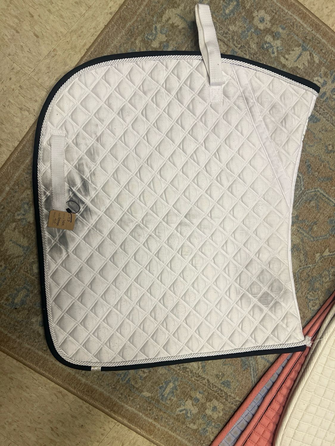 Lettia White With Black Trim Dressage Size Full