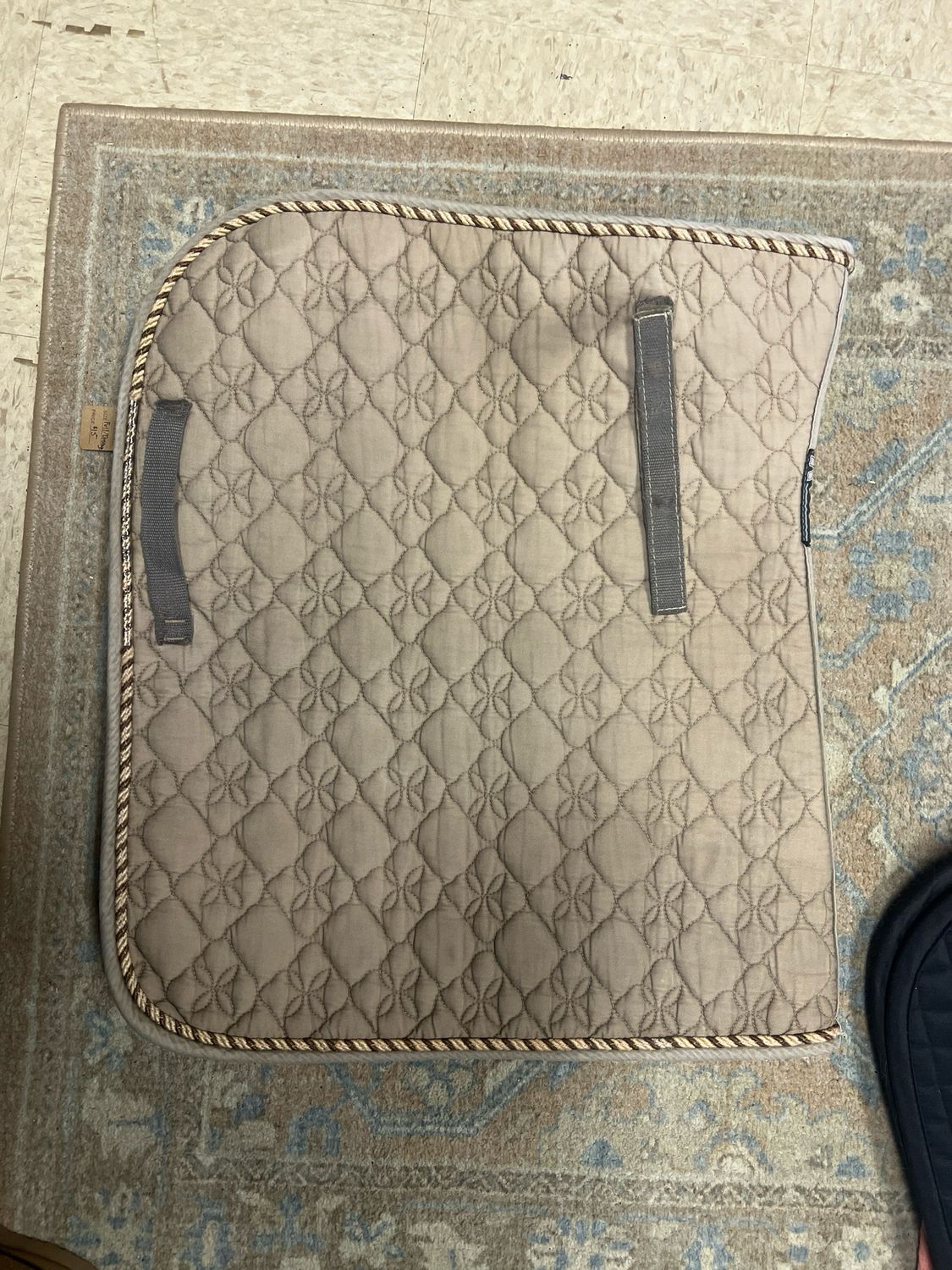 Roma Dressage Size Full