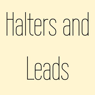 Halters and Leads