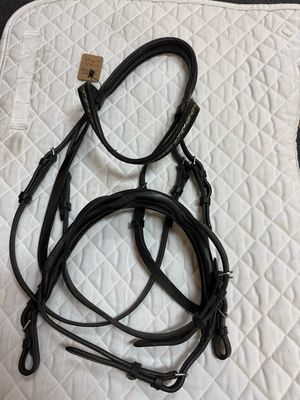 Dressage Bridle - Full Size