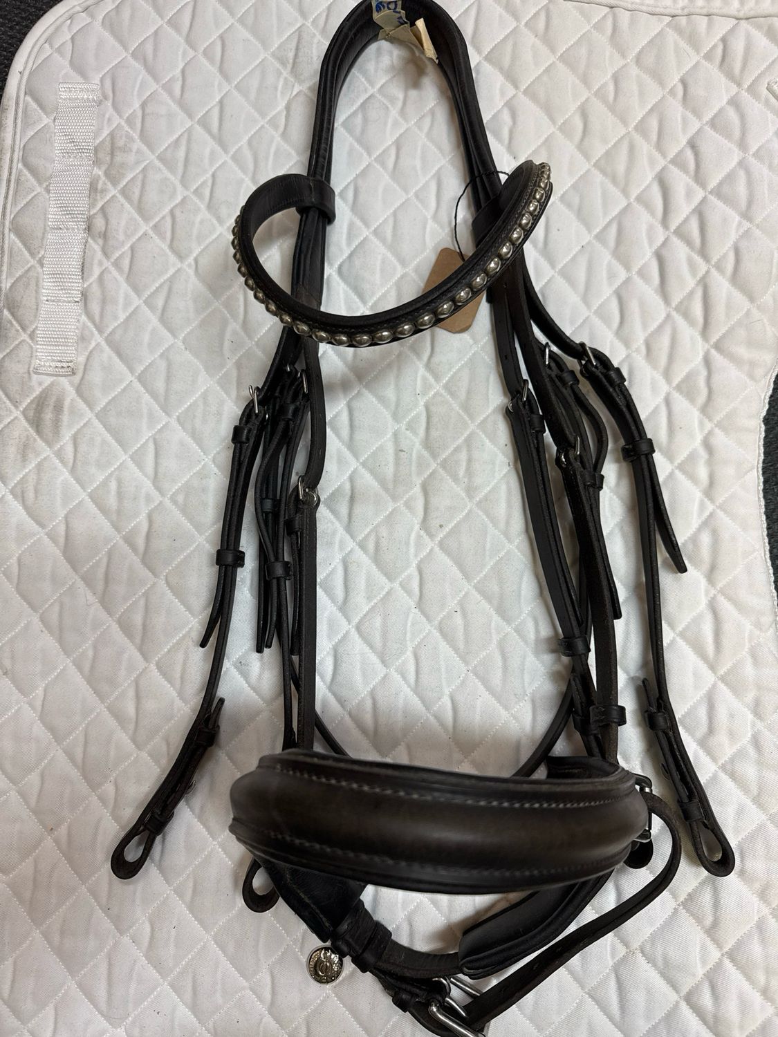 Schleese Double Bridle - Oversized EUC