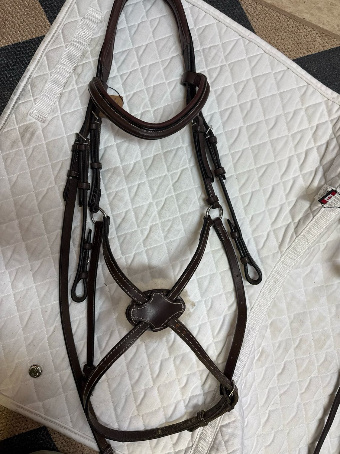 HDR Hunter Jumper Bridle - Cob