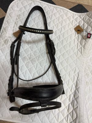 Schleese Dressage Bridle - Horse Size (Used)