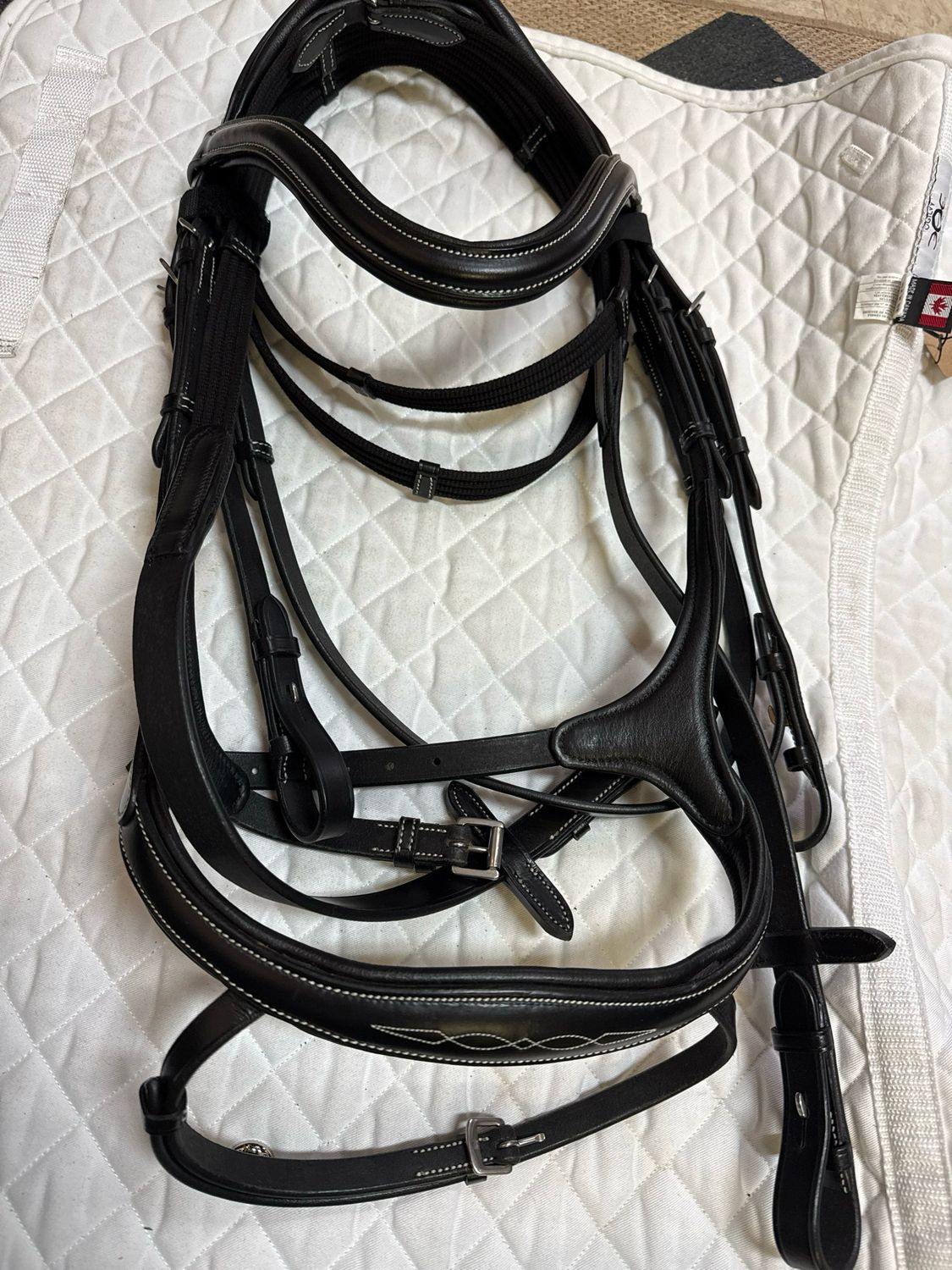 SeaBis Anatomical Snaffle Bridle With Reins (New)