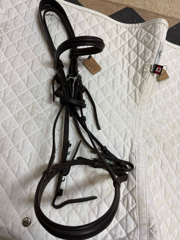 Courbette Hunt Double Bridle (Used)