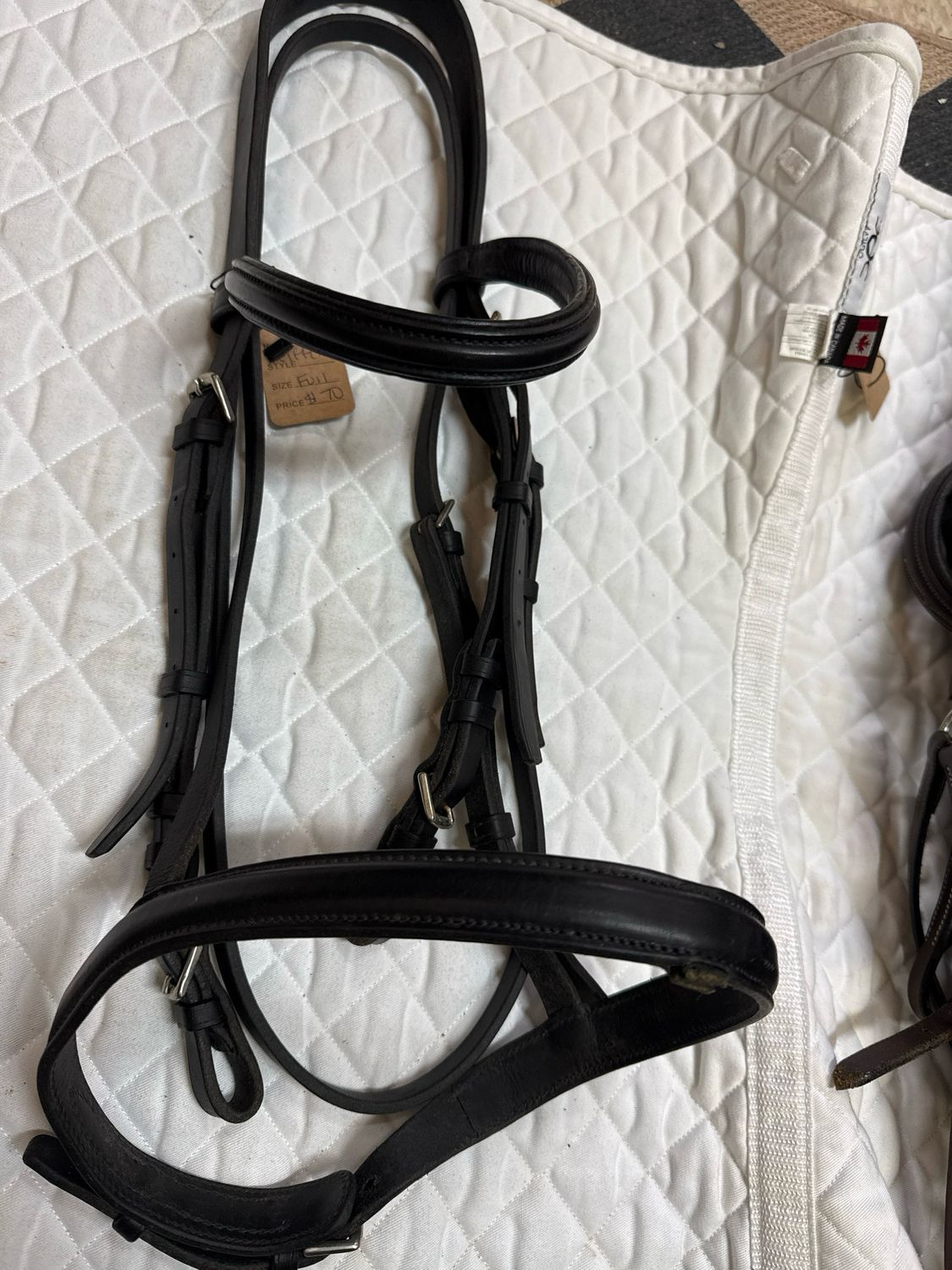 Kroger Dressage Bridle - Full