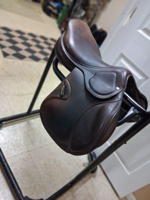 AMERIGO jump 17 Medium *Pinerolo*