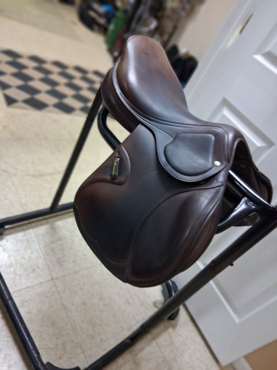 AMERIGO jump 17 Medium *Pinerolo*