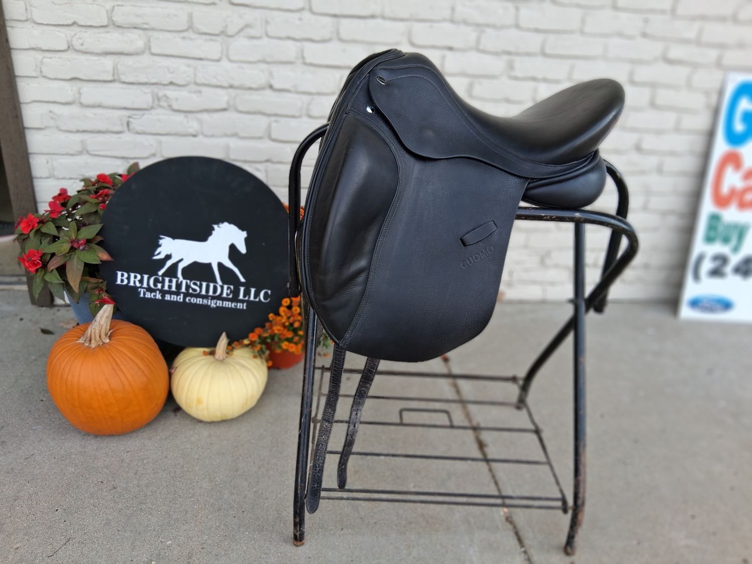 Cuomo 17 in XW dressage saddle