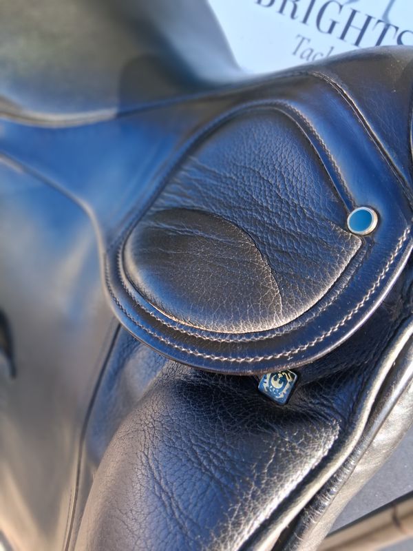 Stubben Scandica  17.5 in. Medium/Narrow tree