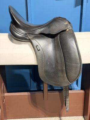 18.5" Schleese Triumph