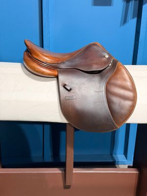 15.5" M CWD Pony