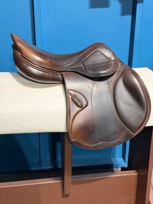 17.5” M Amerigo Pinerolo