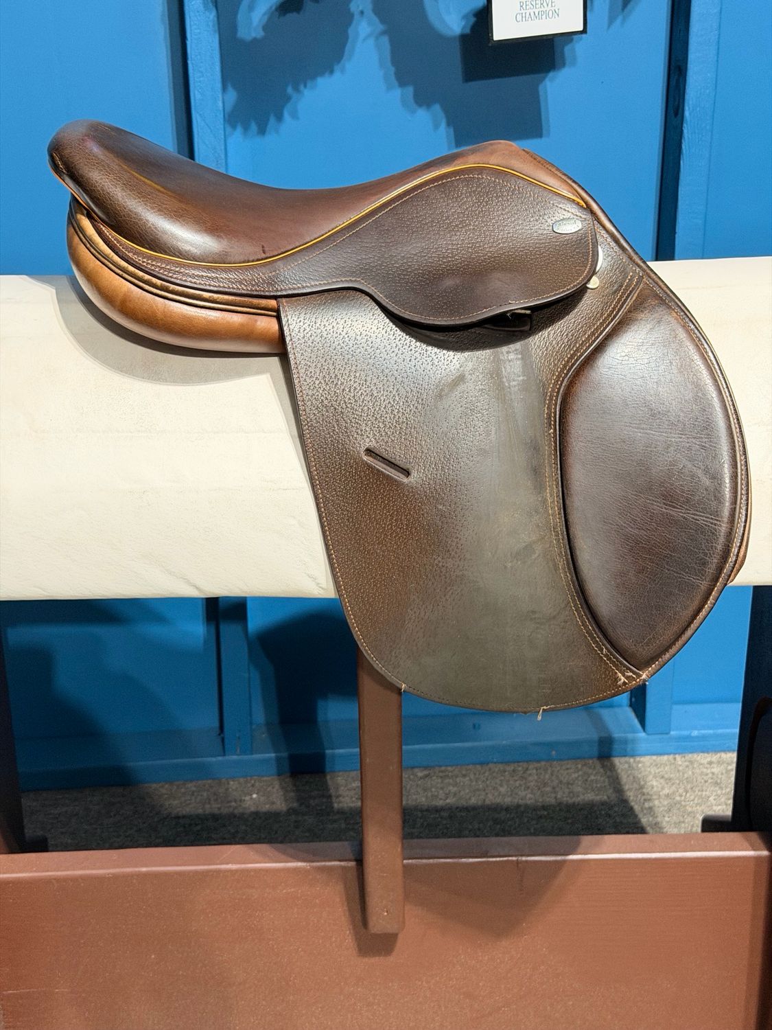 16.5” M Beval Pony