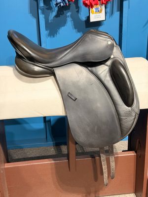 19.5” M Toulouse Wilamina