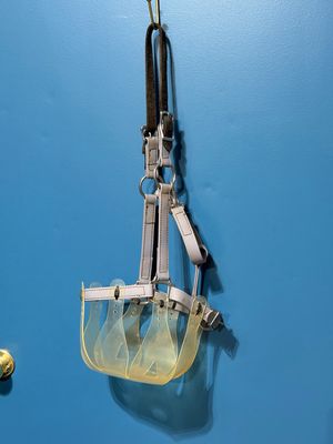 Oversized Biothane Halter With Grazing Muzzle