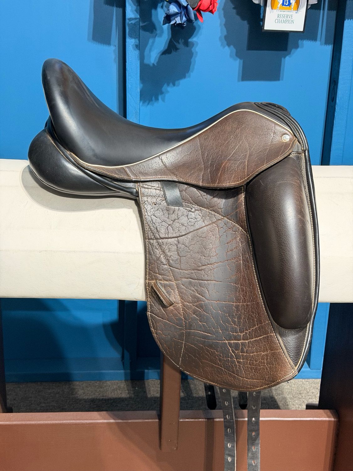 17.5” W Custom Saddlery Icon Coda