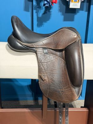 17.5” W Custom Saddlery Icon Coda