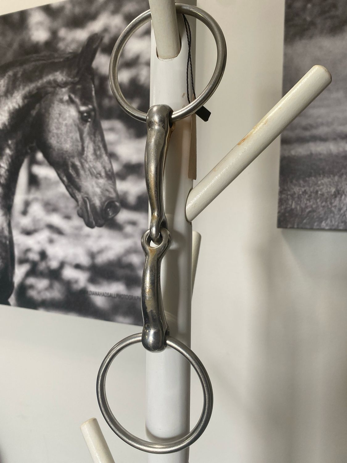 Loose Ring Snaffle (5 Inch)